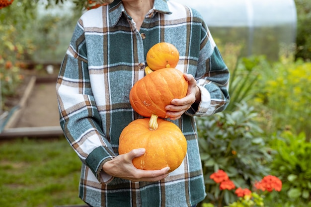 Zucche della holding della donna dell'agricoltore Verdure organiche fresche dalla fattoria