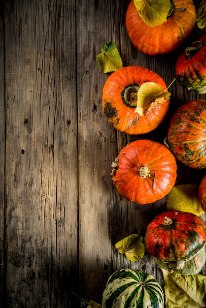 Zucche di autunno in una tabella