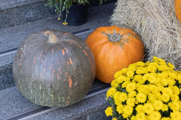 Zucche di Halloween arancioni su una pila di fieno o paglia in una giornata di sole autunnale