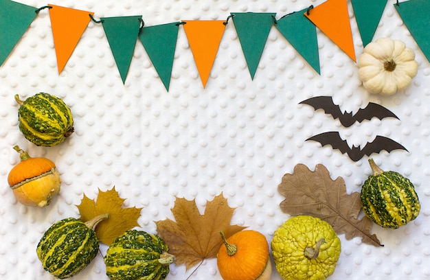 Zucche di Halloween di autunno, fondo bianco