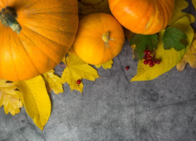 Zucche di Halloween di autunno su fondo di legno