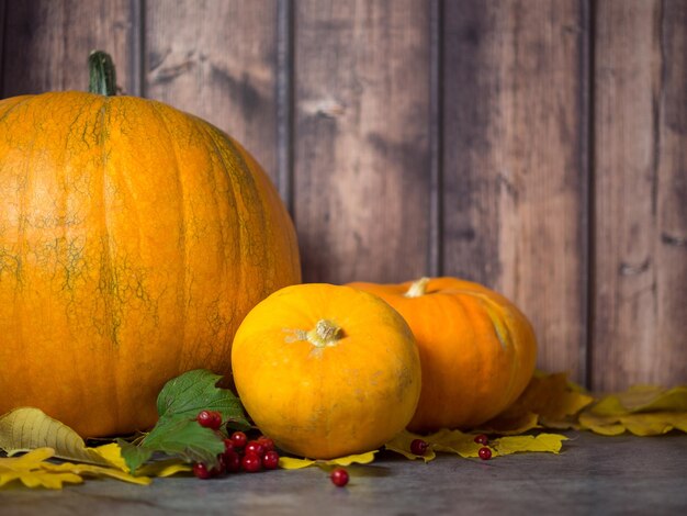 Zucche di Halloween di autunno su fondo di legno