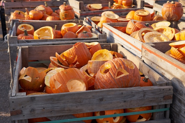 Zucche di Halloween in scatole di legno sul mercato.