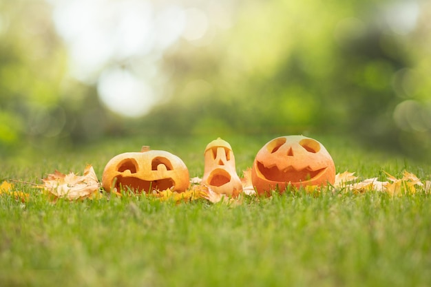 Zucche di Halloween intagliate su erba verde all'aperto