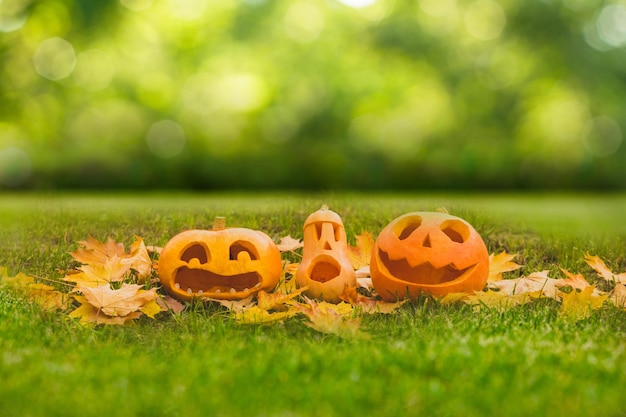 Zucche di Halloween intagliate su erba verde all'aperto