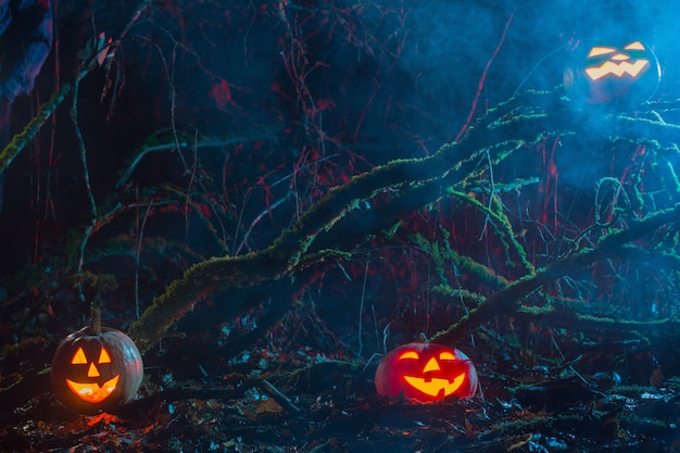 Zucche di Halloween nella foresta di notte