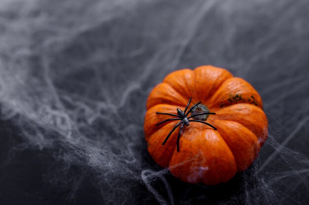 Zucche di Halloween su sfondo nero con ragno spettrale e web.