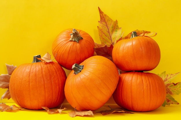 Zucche e foglie di autunno su giallo