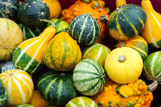 Zucche gialle e verdi luminose in un mercato di strada a Istanbul