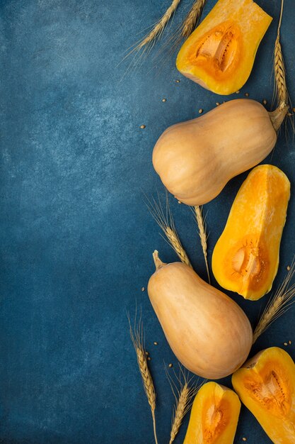 Zucche gialle mature con grano su sfondo blu