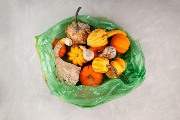 Zucche marce viziate nel sacchetto della spazzatura di plastica verde Brutte verdure ammuffite