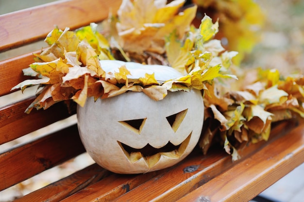 Zucche per Halloween in panchina sullo sfondo di foglie autunnali gialle