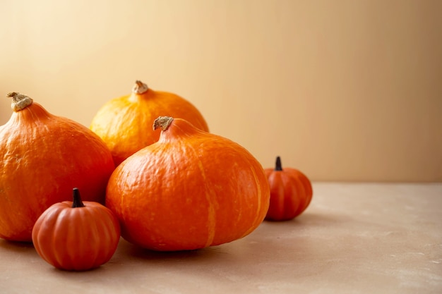 Zucche su sfondo luminoso. Concetto di autunno e Halloween.