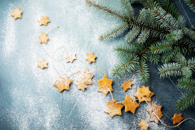 Zucchero a forma di stella di pasta frolla fatta in casa con zucchero in polvere e ramo di albero in forma sul filo sulla superficie blu. Natale o Capodanno. Vista dall'alto con spazio.