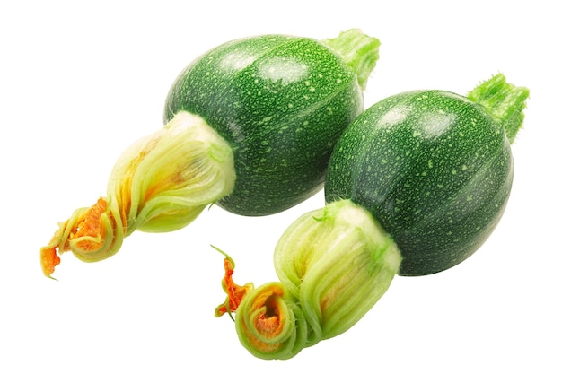 Zucchine Baby Tondo con fiore isolato