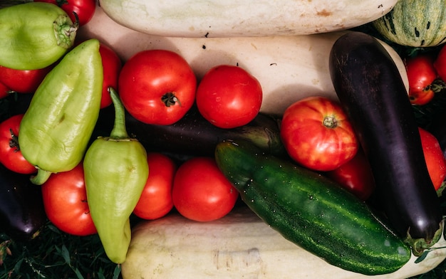 Zucchine verdi e cetrioli Pomodori rossi e melanzane blu Paprika dolce di peperoni verdi e gialli