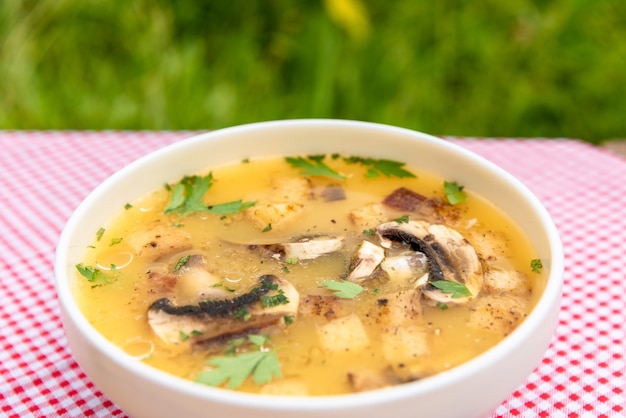 Zuppa calda di funghi in natura.