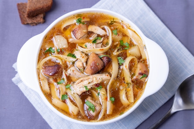 Zuppa con funghi, pollo e tagliatelle in un piatto bianco. Piatto tradizionale russo. Avvicinamento.