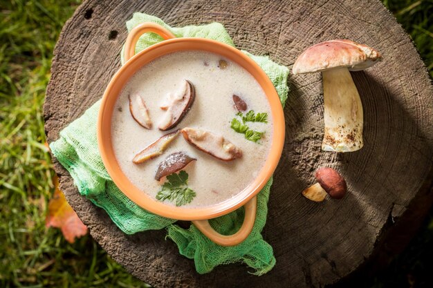 Zuppa di funghi gustosa a base di funghi nobili