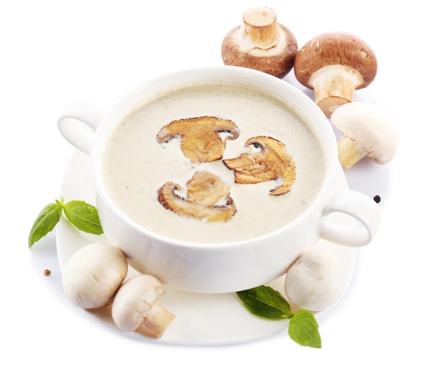 Zuppa di funghi in una ciotola bianca sul piatto isolato su bianco