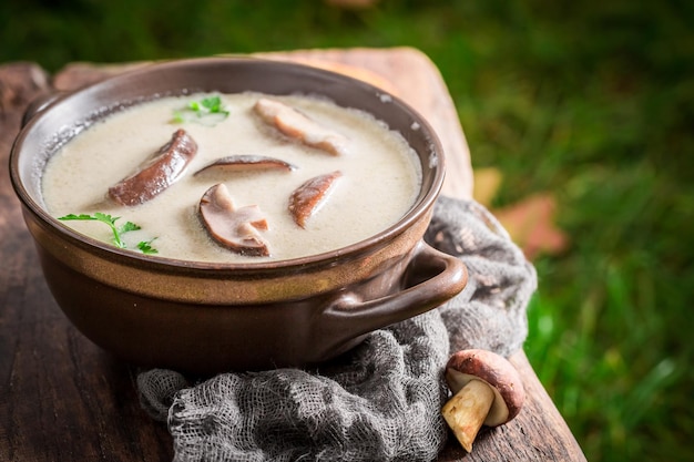 Zuppa di funghi squisita sul vecchio tavolo di legno