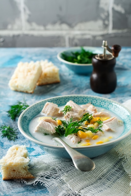 Zuppa fatta in casa con carne di pollo