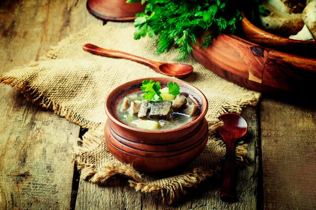 Zuppa fatta in casa con carne, patate, funghi di bosco e champignon, fondo in legno vintage, fuoco selettivo