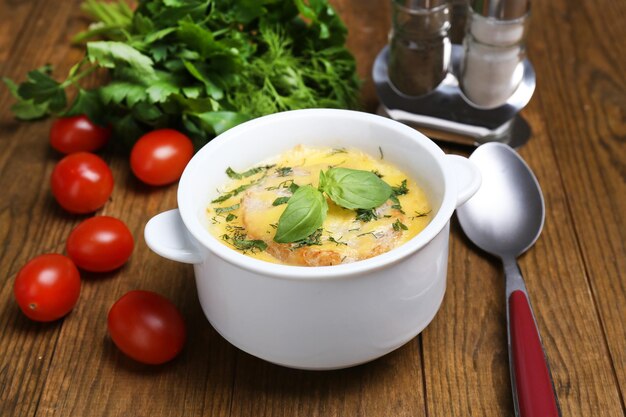 Zuppa saporita in casseruola sulla tavola di legno da vicino