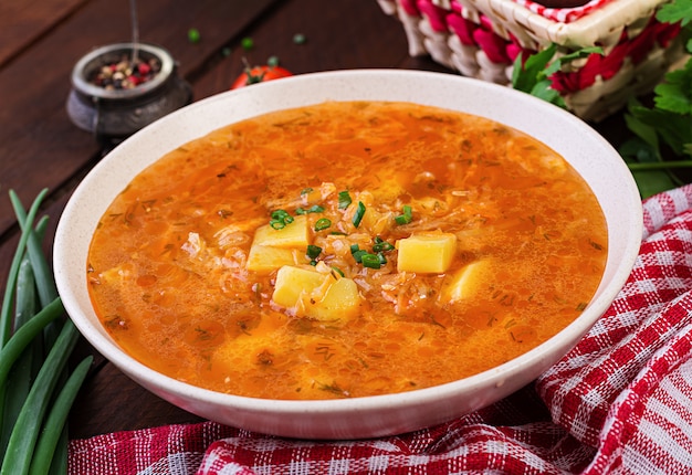 Zuppa tradizionale russa con cavolo - zuppa di crauti - shchi.