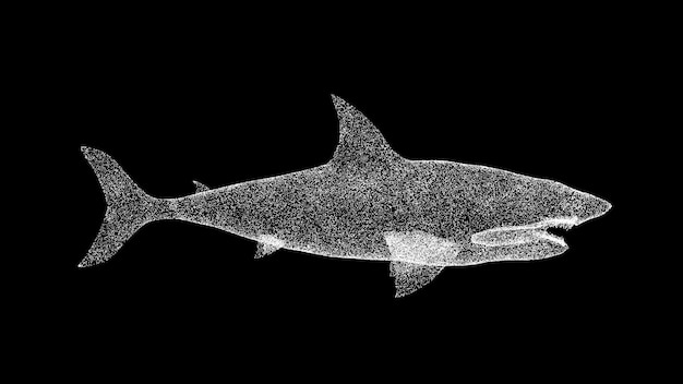 3D Shark on black background Object made of shimmering particles Wild animals concept Protection of the environment For title text presentation 3d animation