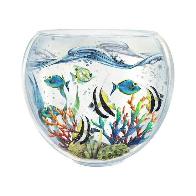 A glass aquarium with tropical fish corals algae and sea sponges Watercolor illustration composition on a white background For interior decoration souvenirs postcards posters