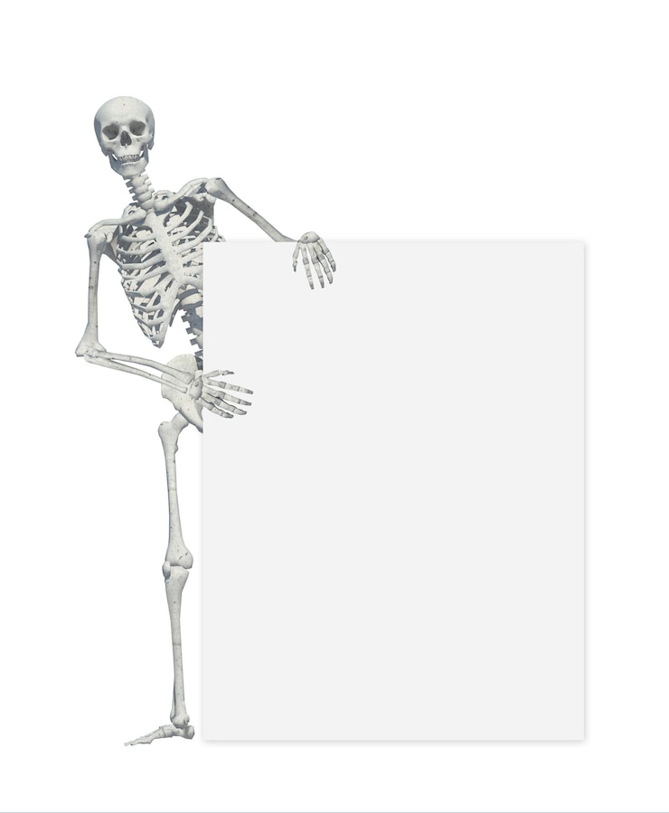 Fotografie a skeleton standing casually and holding a sign on a white background may use as halloween backgrou