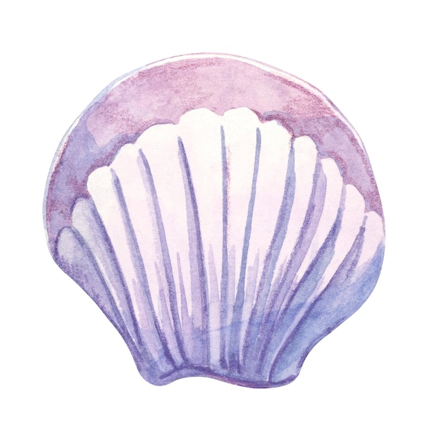 A soft lavender and white fanshaped shell in watercolor Scallop shell mollusk clipart ideal for wedding invitations textile pattern