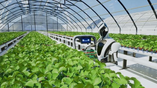 artificial intelligence robot harvesting strawberry in the greenhouse 3d render