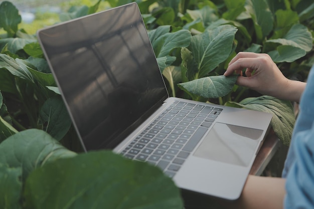 asian woman farmer using digital tablet in vegetable garden at greenhouse business agriculture technology concept quality smart farmer