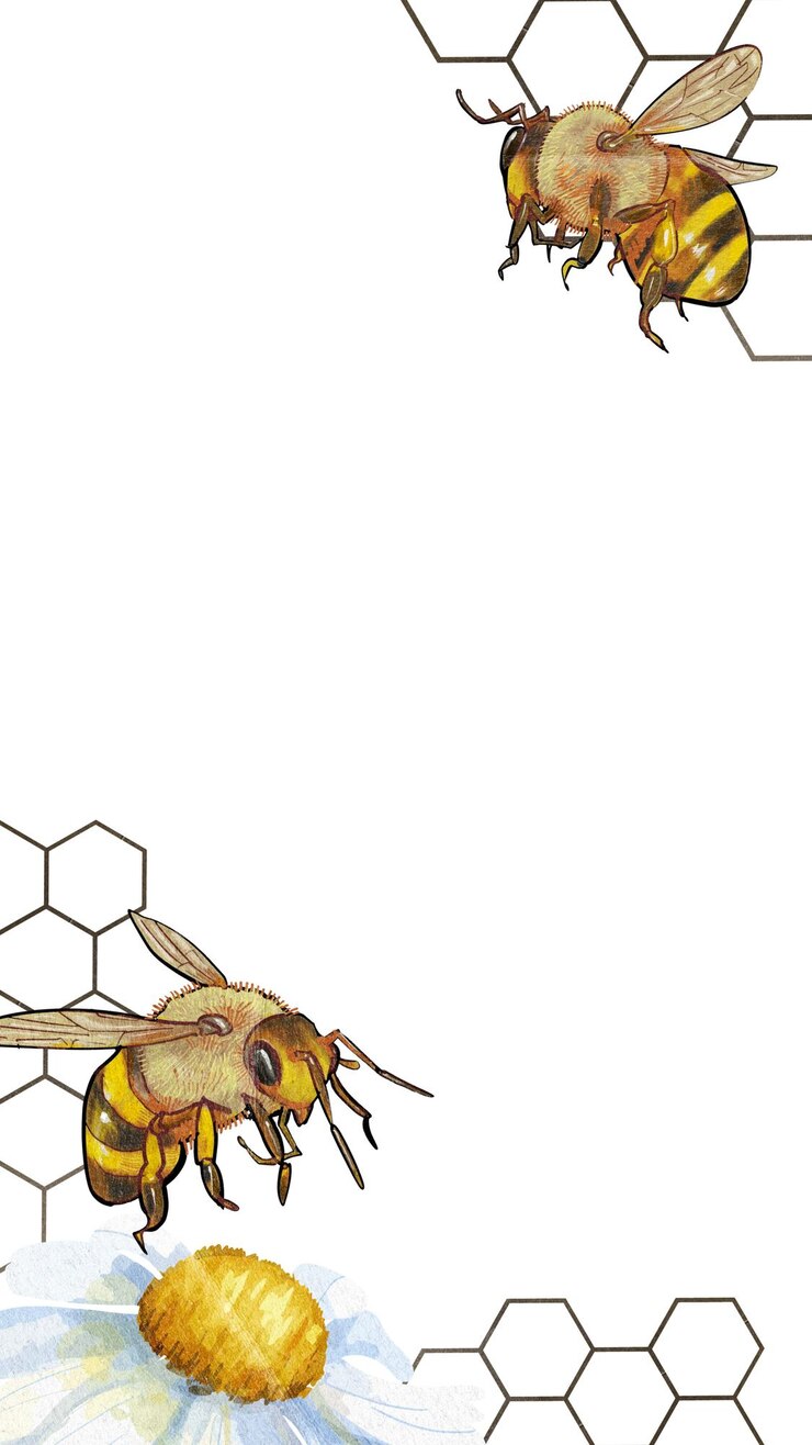 Fotografie bees and flower border png transparent background