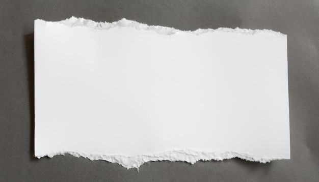 Blank Vintage white torn paper texture background