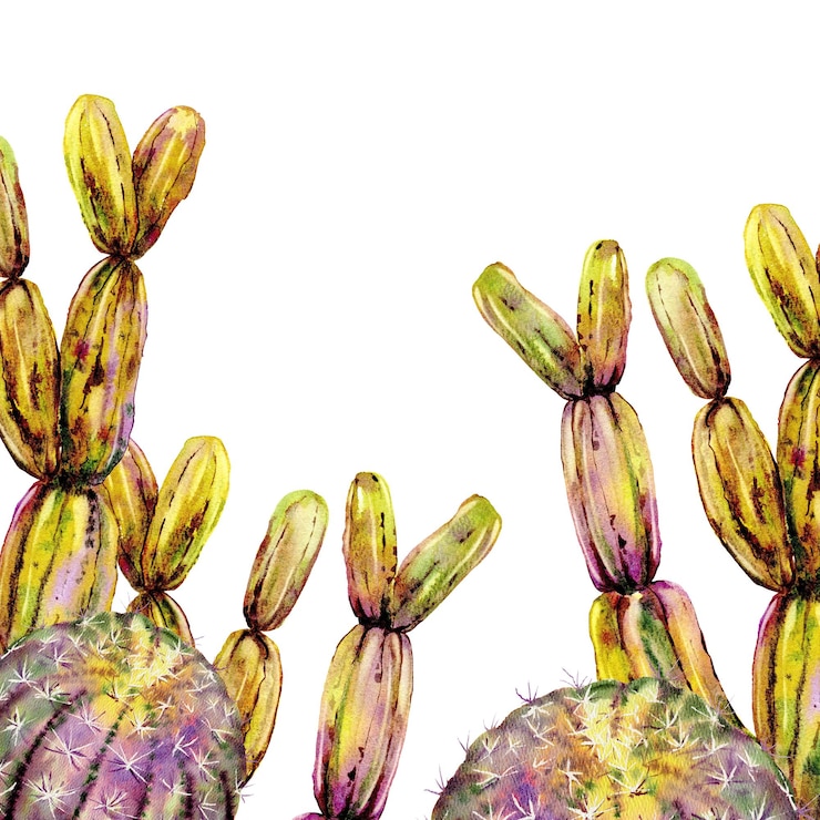 Fotografie cacti green with purple textural hand painted with watercolors for decoration menu books wall