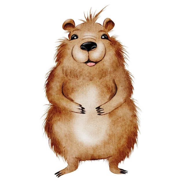 Capybara cute watercolor funny animal hand drawing on isolated white background clip art of a