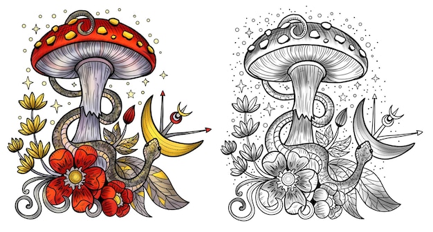 Celestial mystic mushrooms with magic and floral decorative design elements