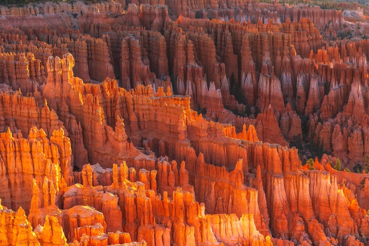Fotografie celkový záběr národního parku bryce canyon