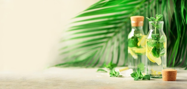 Citrus lemonade mint lemon and tropical palm leaves on grey background Detox drink Banner with copy space Summer fruit infused water