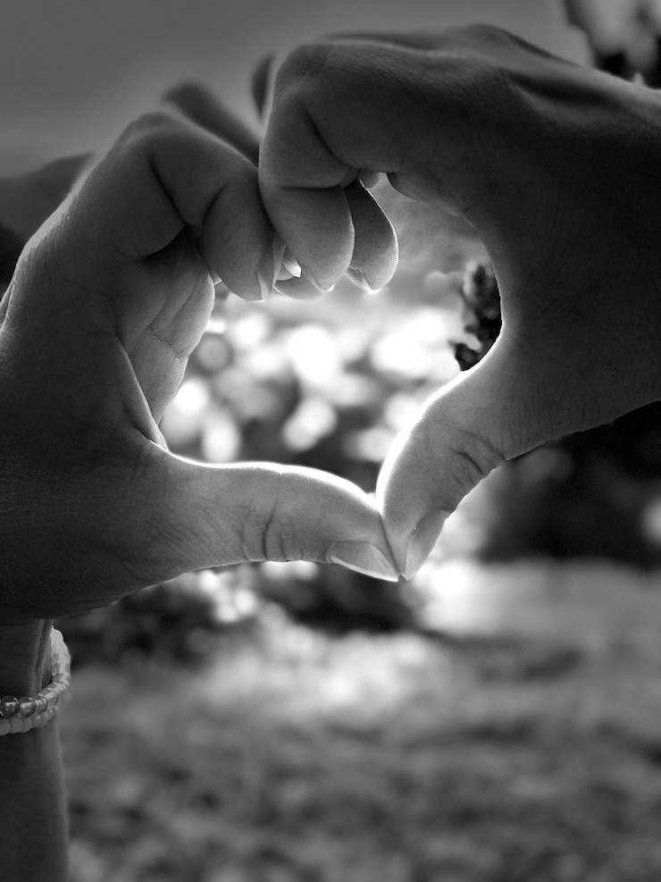 Fotografie close-up of hands holding leaf