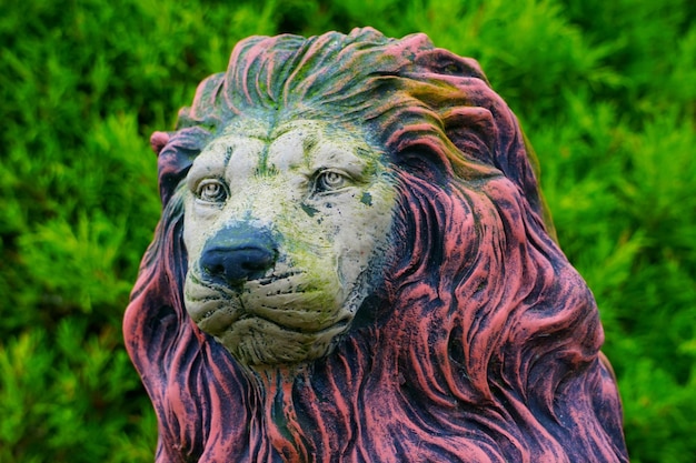 Close-up portrait of elephant