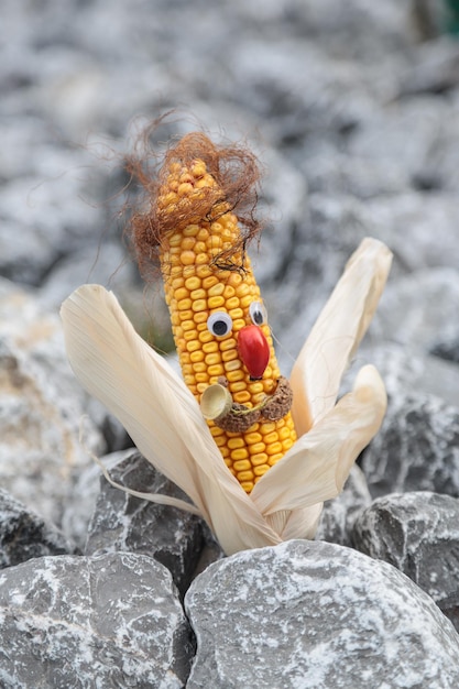 corn with anthropomorphic face on rock
