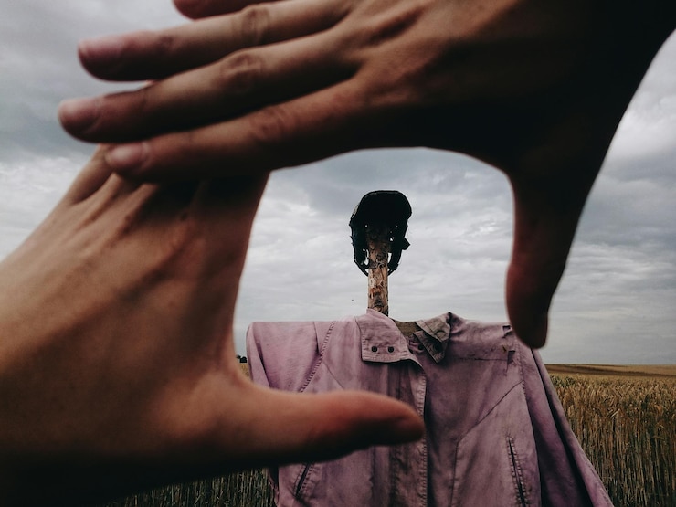 Fotografie cropped image of hand against scarecrow in field