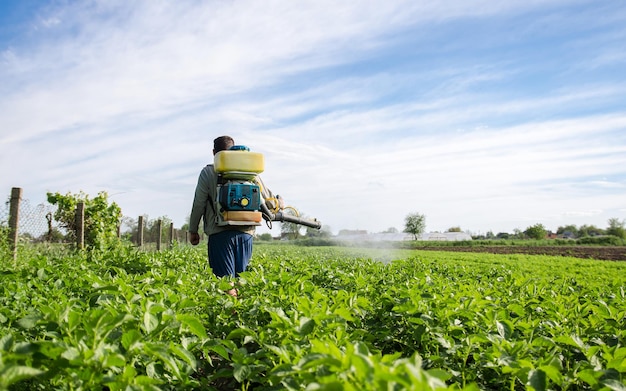 Farmer with a mist sprayer walks through farm field protection of cultivated plants from insects