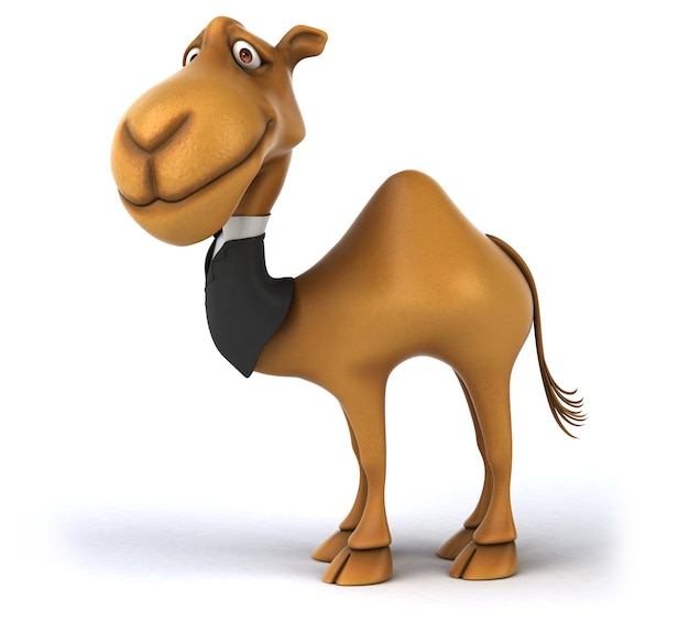 Fun camel