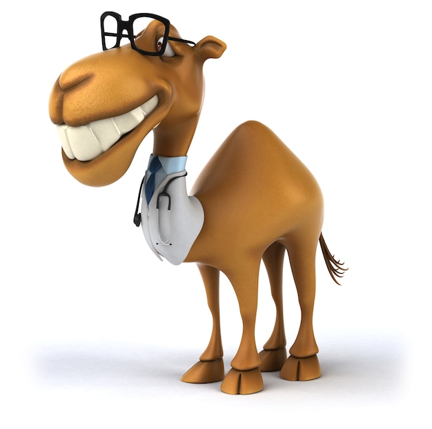 Fun camel