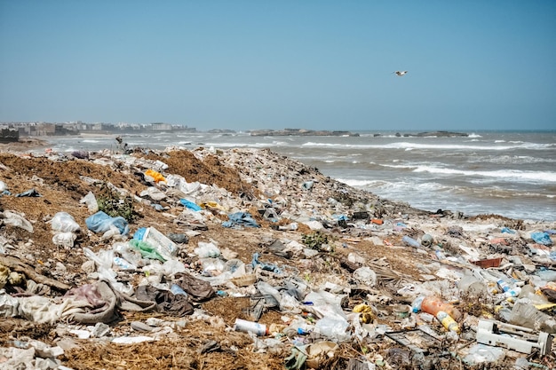 Garbage at beach against clear blue sky